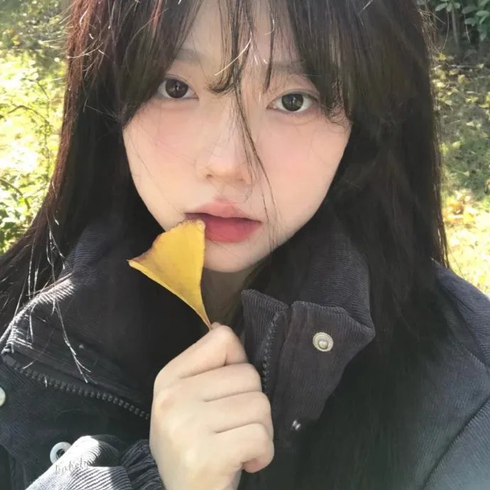 紫苑草